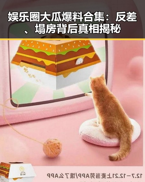 娱乐圈大瓜爆料合集：反差、塌房背后真相揭秘